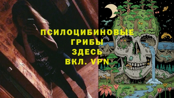ГАЛЛЮЦИНОГЕННЫЕ ГРИБЫ Алексин