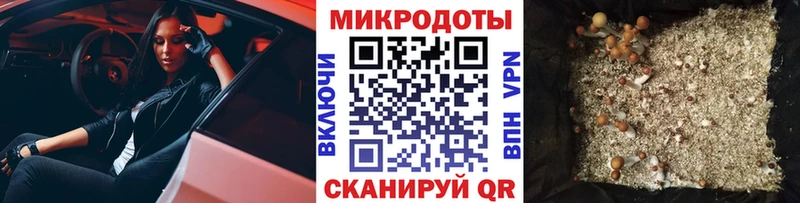 Галлюциногенные грибы мухоморы  где можно купить   гидра онион  Курганинск 