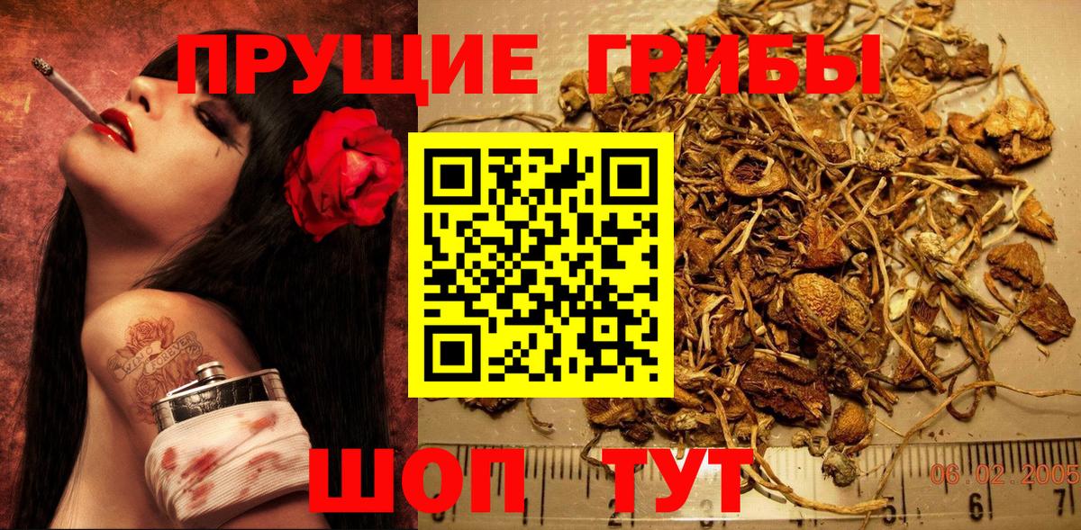 Псилоцибиновые грибы Psilocybine cubensis  Вход с VPN  Курганинск 
